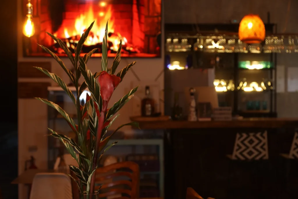 Noches mágicas en Shambhala: el escenario perfecto para una cena inolvidable