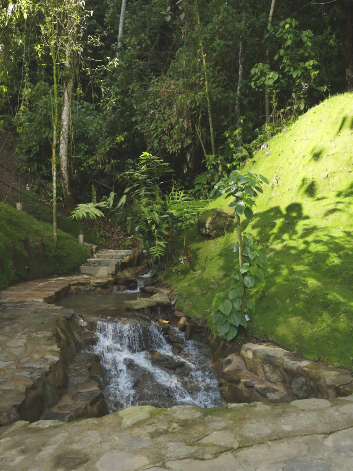 sendero_al_rio_01