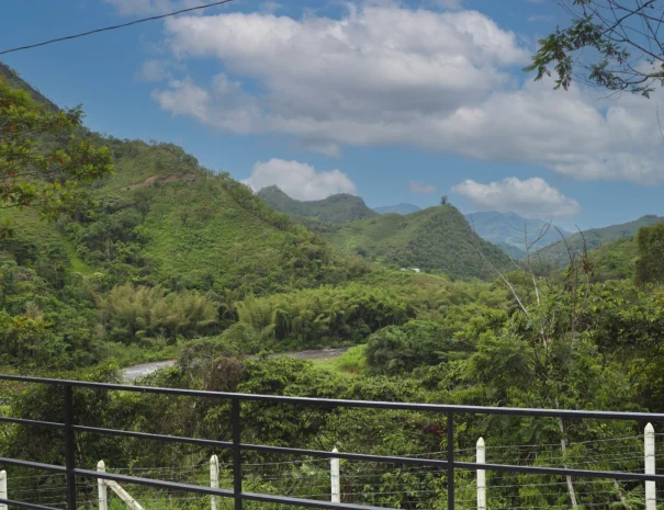 vista_naturaleza