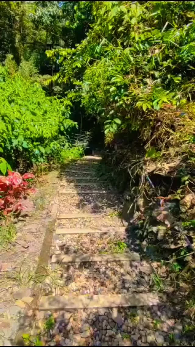 Tu espacio sagrado es donde puedes encontrarte a ti mismo una y otra vez.
Reserva tu escapada de tus sueños y quedate con nosotros en nuestro oasis tranquilo.
@shambhala_ecohotel
Reservas:+57 310 7367266
#hotelesbogota #hotelboutique #travel #colombia #bogota #lavegacundinamarca #ecohotel #naturaleza #descanso #relax #hoteleslavega