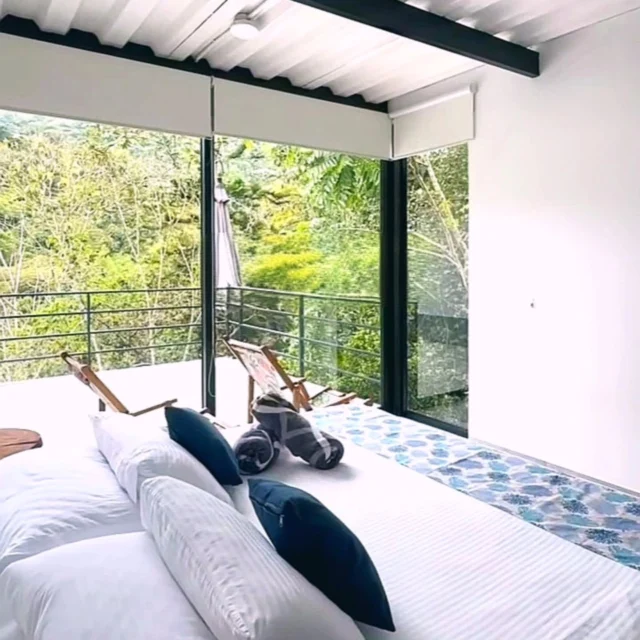 Disfruta de la serenidad de nuestras habitaciones, una pintoresca vista  de la exuberante vegetación del bosque nativo qué nos abraza.
@shambhala_ecohotel_boutique
Reservas:+57 310 7367266
Booking: Shambhala ECOHOTEL boutique
www.shambhalaecohotel.com
​
​ShambhalaEcohotel #TurismoConsciente #ArquitecturaYLibertad #DescansoNatural #EcoBoutique #LaVegaCundinamarca.