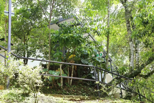 Entra en la comodidad y al serenidad de nuestras encantadoras habitaciones. Experimenta el abrazo de la naturaleza mientras te relajas en @shambhala_ecohotel_boutique.
Visitanos y reserva tu habitación de la selva donde cada momento es una invitación para relajarte y recargarte.
Reservas:+57 310 7367266
Booking: Shambhala ECOHOTEL boutique
www.shambhalaecohotel.com