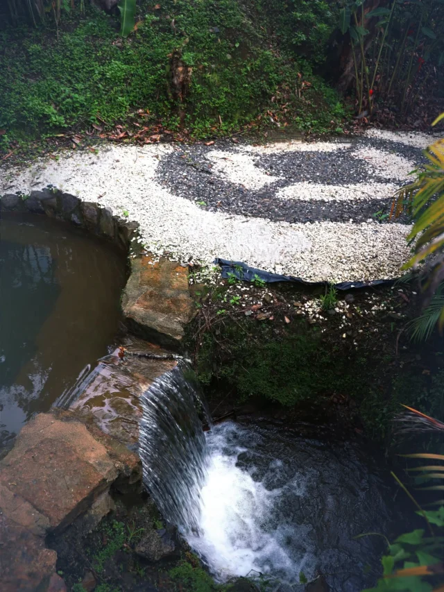 Disfruta y vive un día sereno en nuestro encantador hotel, haz tu  reserva  y descubre nuestros espacios diseñados para meditar, descansar o realizar tu deporte favorito.
@shambhala_ecohotel_boutique
Reservas:+57 310 7367266
Booking: Shambhala ECOHOTEL boutique 
www.shambhalaecohotel.com