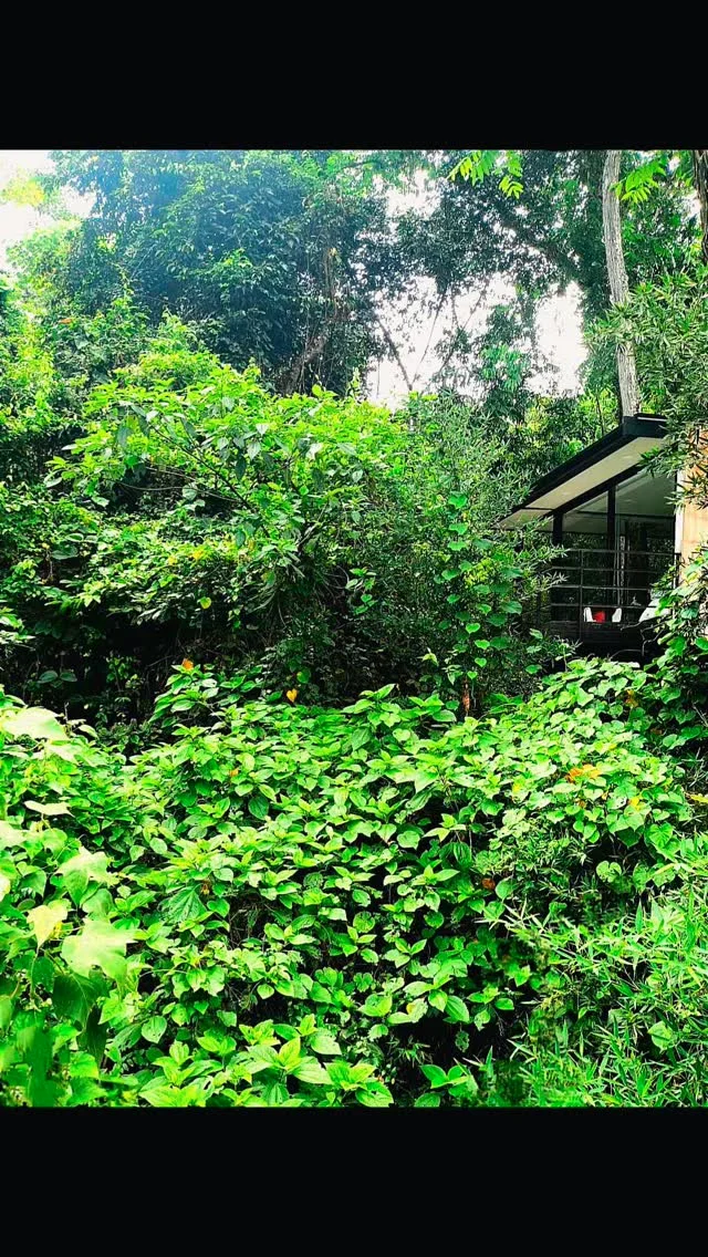 @shambhala_ecohotel_boutique dónde la Naturaleza y la paz se entrelazan todo el tiempo. Cada uno de nuestro espacios te invita a uno profunda conexión interna. 
Experimenta el verdadero descanso y crea tu propio recuerdo en nuestro Ecohotel.
Reservas:+57 310 7367266
Booking: Shambhala ECOHOTEL boutique 
www.shambhalaecohotel.com