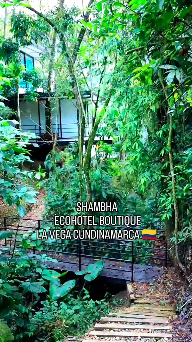 Momentos para reconectar contigo mismo en la mejor atmósfera natural.
@shambhala_ecohotel_boutique
#shambhala_ecohotel_boutique
Reservas:+57 310 7367266
Booking: Shambhala ECOHOTEL boutique 
www.shambhalaecohotel.com
La Vega Cundinamarca