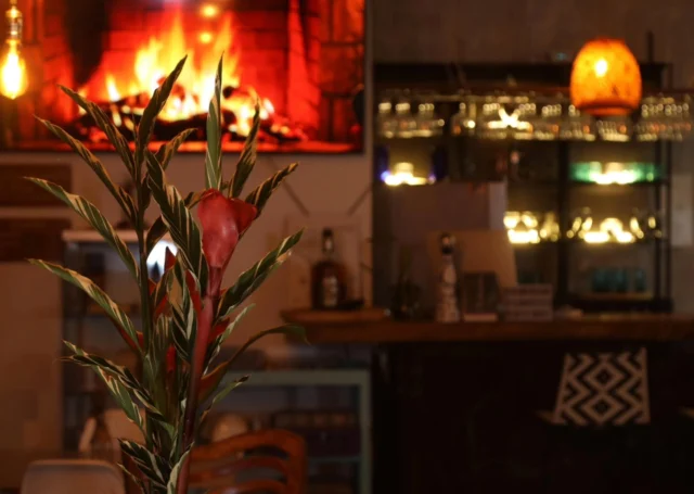 Relajate en la serenidad de nuestro acogedor refugio. Donde el buen gusto se encuentra con la exuberante belleza del bosque de la Vega Cundinamarca.
@shambhala_ecohotel_boutique
Reservas:+57 310 7367266
Booking: Shambhala ECOHOTEL boutique
www.shambhalaecohotel.com