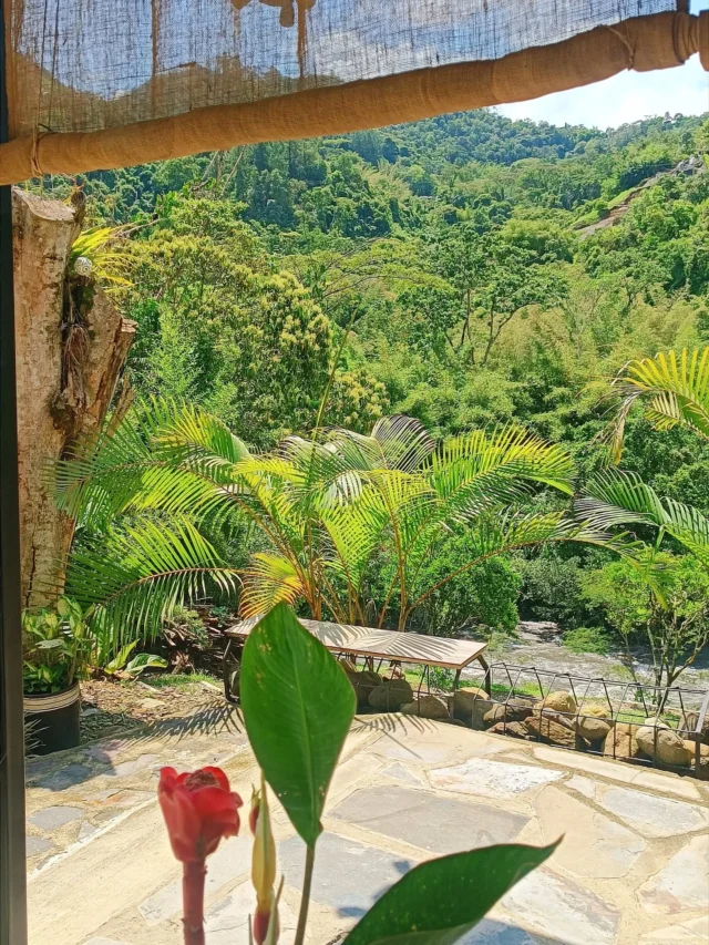 Deja atrás las preocupaciones, disfruta de bellas vistas, cada espacio en @shambhala_ecohotel_boutique  invita a una profunda conexión  con el mágico mundo de la naturaleza que nos rodea.
@shambhala_ecohotel_boutique
Reservas:+57 310 7367266
Booking: Shambhala ECOHOTEL boutique 
www.shambhalaecohotel.com