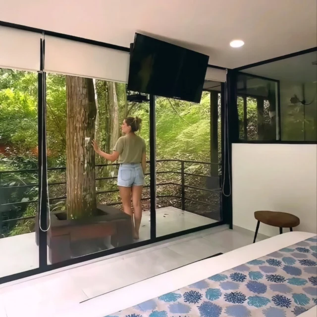 Nuestras habitaciones frente al bosque nativo son ventanas al mundo de la tranquilidad, donde nos sumergemos en los sonidos calmantes de la naturaleza.
Shambhala ECOHOTEL boutiqueReservas:+57 310 7367266
Booking: Shambhala ECOHOTEL boutique
www.shambhalaecohotel.com​📍 La Vega, Cundinamarca.