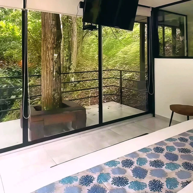 Tranquilidad a la vista. Deja tus preocupaciones atrás en este mágico lugar. Es hora de relajarse.
@shambhala_ecohotel_boutique
Reservas:+57 310 7367266
Booking: Shambhala ECOHOTEL boutique
www.shambhalaecohotel.com
​
​ShambhalaEcohotel #TurismoConsciente #ArquitecturaYLibertad #DescansoNatural #EcoBoutique #LaVegaCundinamarca.