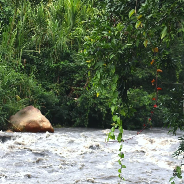Rodearse de la naturaleza en nuestro hotel. Relajate en la serenidad de @shambhala_ecohotel_boutique.
Has tu reserva con nosotros
Reservas:+57 310 7367266
Booking: Shambhala ECOHOTEL boutique
www.shambhalaecohotel.com
​
​ShambhalaEcohotel #TurismoConsciente