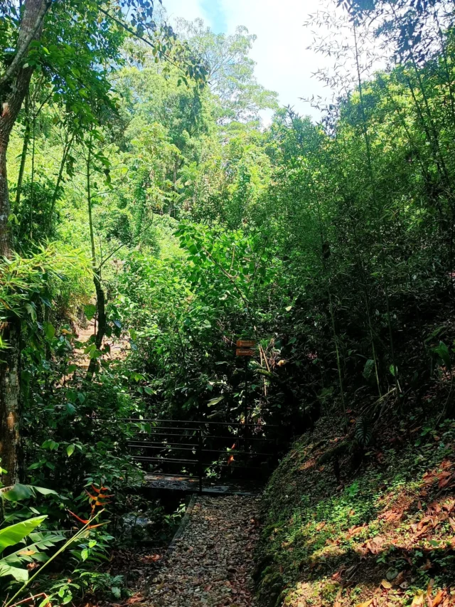 Disfruta la  abundancia de la naturaleza vibrante que rodea nuestro hotel @shambhala_ecohotel_boutique.
Reservas:+57 310 7367266
Booking: Shambhala ECOHOTEL boutique
www.shambhalaecohotel.com
#lavegacundinamarca #colombia🇨🇴