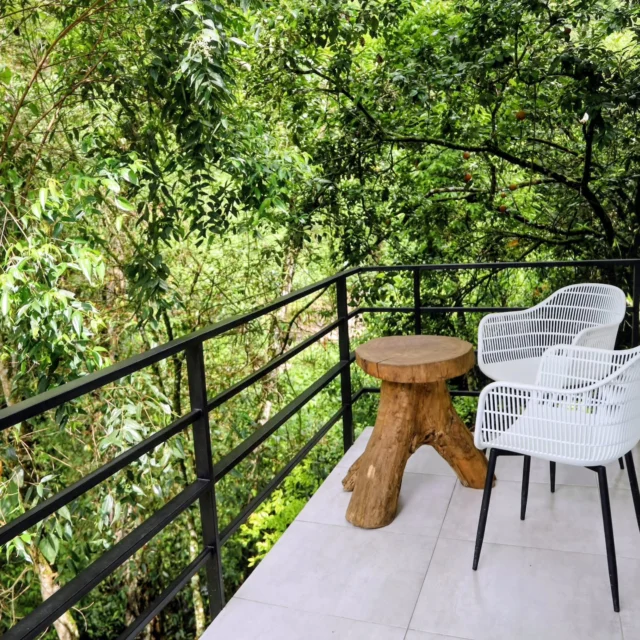 Porque todos merecemos estar en un paraíso. @shambhala_ecohotel_boutique
Reservas:+57 310 7367266
Booking: Shambhala ECOHOTEL boutique
www.shambhalaecohotel.com
#lavegacundinamarca #colombia