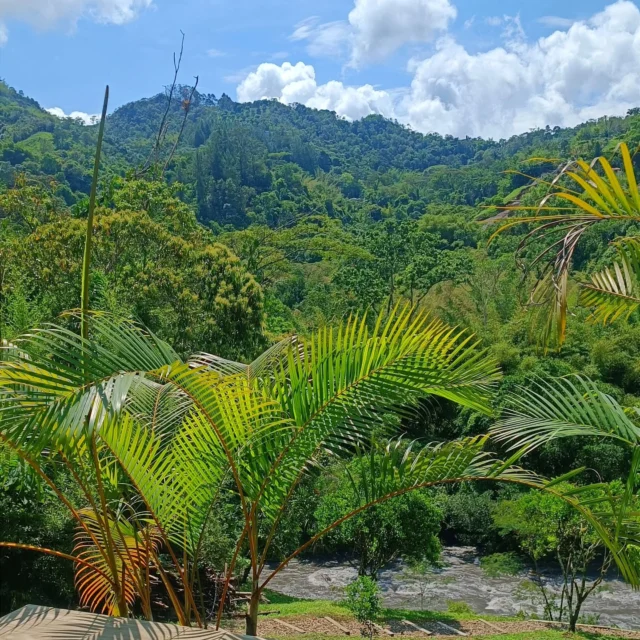 @shambhala_ecohotel_boutique un oasis de calma y tranquilidad.