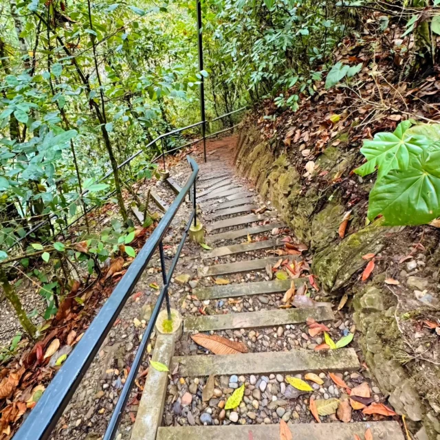 Encontrarte a ti mismo saliendo de la rutina en medio de la naturaleza es la mejor sensación que puedes recibir en tu estadía en @shambhala_ecohotel_boutique
Reservas:+57 310 7367266
Booking: Shambhala ECOHOTEL boutique
www.shambhalaecohotel.com
#lavegacundinamarca #colombia🇨🇴