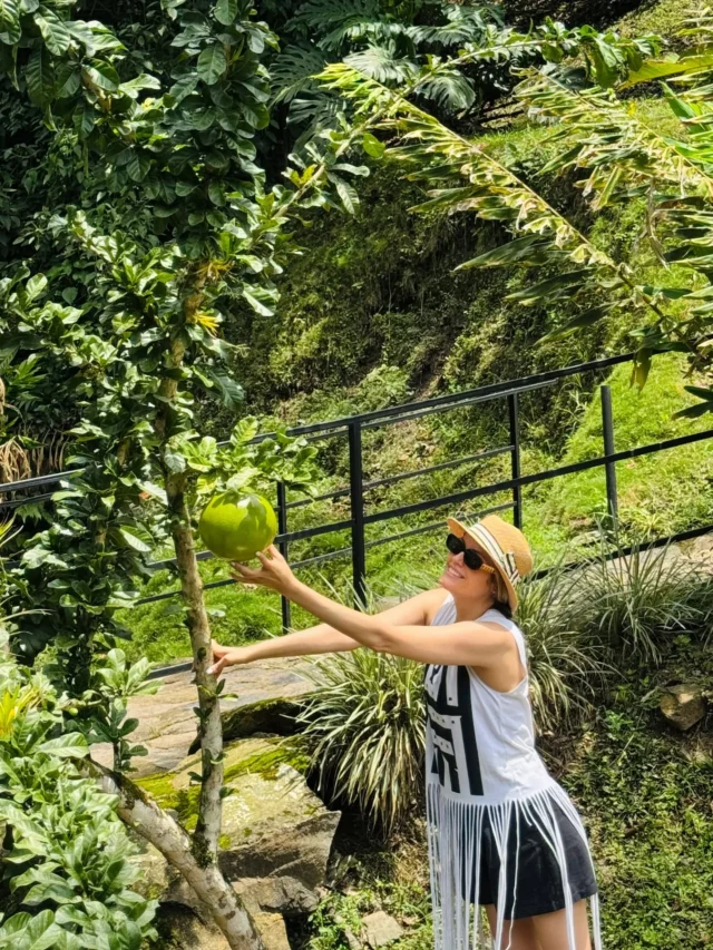 Tu hospedaje en @shambhala_ecohotel_boutique promete ser una experiencia de viaje inolvidable llena de vistas exuberantes naturales, experiencia propia con el bosque, árboles frutales, deliciosas comidas en nuestro restaurante y recuerdos para todos, ven a #shambhalaecohotelboutique y descubre todos los espacios diseñados para meditar, descansar y  descubrir.
@shambhala_ecohotel_boutique
Reservas:+57 310 7367266
Booking: Shambhala ECOHOTEL boutique 
www.shambhalaecohotel.com
#lavegacundinamarca #colombia