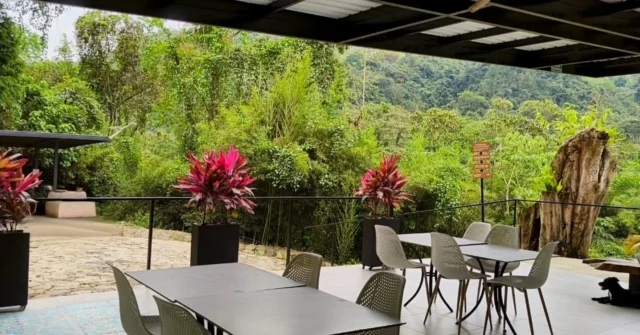 Cada rincón se viste de verde vibrante. Aquí el mundo exterior se desvanece y queda una tarde para disfrutar de los sabores de nuestra carta especial de temporada.
@shambhala_ecohotel_boutique @shambhala_ecohotel_boutique.
Has tu reserva con nosotros
Reservas:+57 310 7367266
Booking: Shambhala ECOHOTEL boutique
www.shambhalaecohotel.com